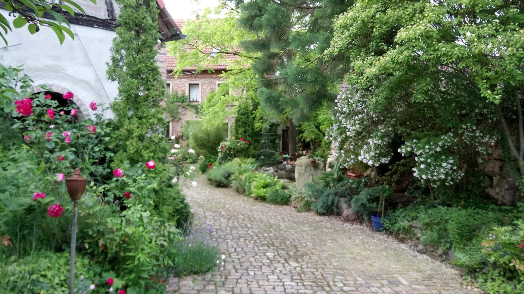 شقة "El Patio" Am Donnersberg Dannenfels المظهر الخارجي الصورة