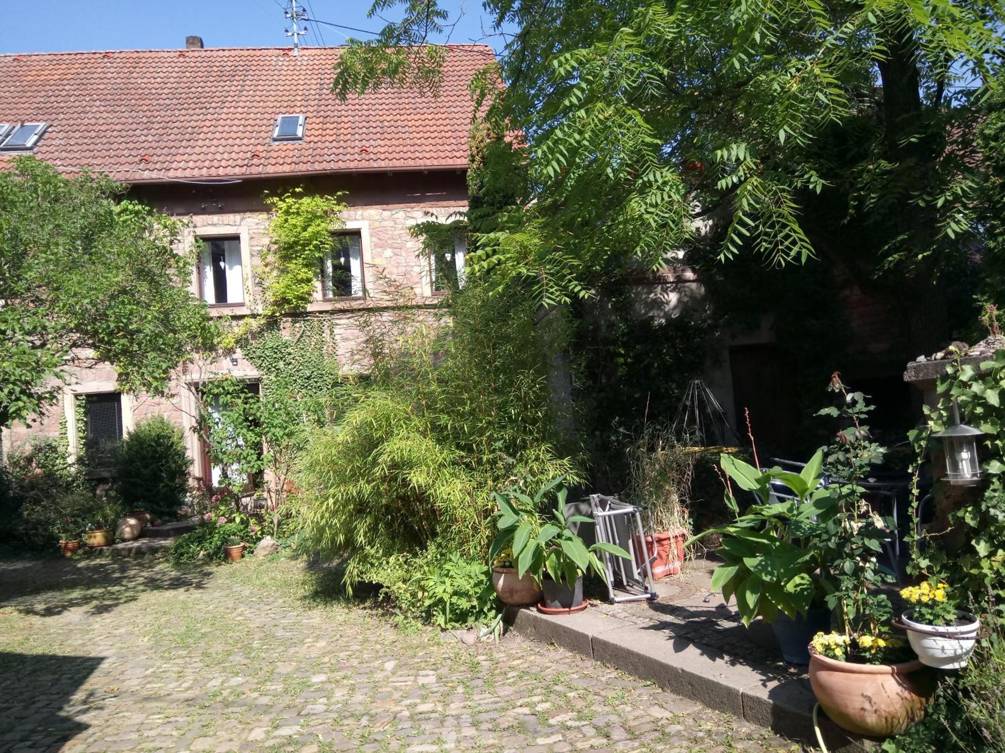 شقة "El Patio" Am Donnersberg Dannenfels المظهر الخارجي الصورة