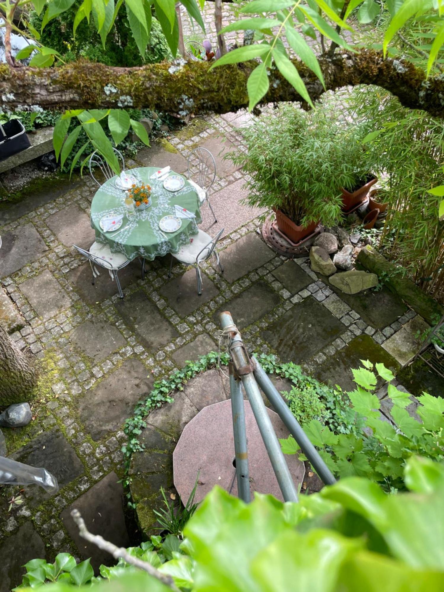 شقة "El Patio" Am Donnersberg Dannenfels المظهر الخارجي الصورة