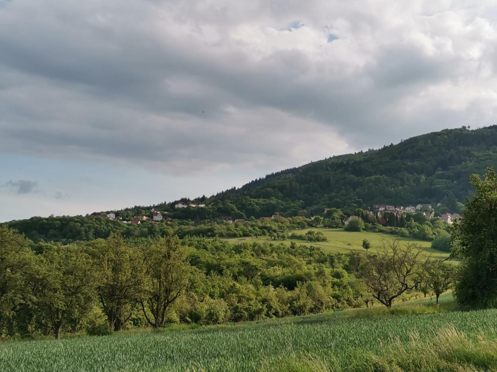 شقة "El Patio" Am Donnersberg Dannenfels المظهر الخارجي الصورة