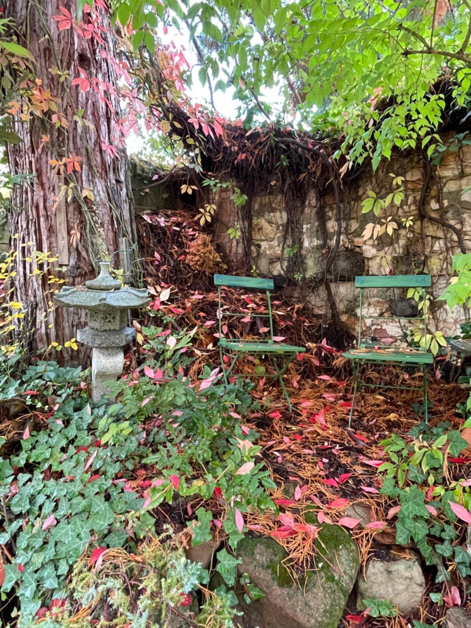 شقة "El Patio" Am Donnersberg Dannenfels المظهر الخارجي الصورة